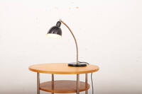 Buma update dezember 251255 Buma Möbelklassiker Vintage-Klassiker und Designermöbel Möbel Olten Zürich Schweiz