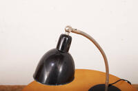 Buma update dezember 251257 Buma Möbelklassiker Vintage-Klassiker und Designermöbel Möbel Olten Zürich Schweiz