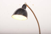 Buma update dezember 251259 Buma Möbelklassiker Vintage-Klassiker und Designermöbel Möbel Olten Zürich Schweiz