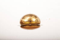 Buma update dezember 251316 Buma Möbelklassiker Vintage-Klassiker und Designermöbel Möbel Olten Zürich Schweiz