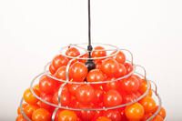 Buma update november 250953 Buma Möbelklassiker Vintage-Klassiker und Designermöbel Möbel Olten Zürich Schweiz