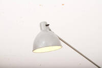 Buma update november 251069 Buma Möbelklassiker Vintage-Klassiker und Designermöbel Möbel Olten Zürich Schweiz