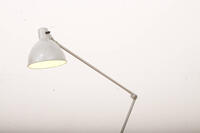 Buma update november 251070 Buma Möbelklassiker Vintage-Klassiker und Designermöbel Möbel Olten Zürich Schweiz