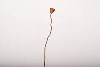 Buma update april 263298 Buma Möbelklassiker Vintage-Klassiker und Designermöbel Möbel Olten Zürich Schweiz