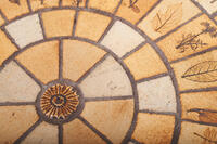 Buma update februar 262428 Buma Möbelklassiker Vintage-Klassiker und Designermöbel Möbel Olten Zürich Schweiz