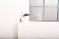 Buma update januar 261774 Buma Möbelklassiker Vintage-Klassiker und Designermöbel Möbel Olten Zürich Schweiz