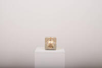 Buma update januar 261778 Buma Möbelklassiker Vintage-Klassiker und Designermöbel Möbel Olten Zürich Schweiz