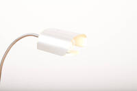 Buma update januar 261842 Buma Möbelklassiker Vintage-Klassiker und Designermöbel Möbel Olten Zürich Schweiz