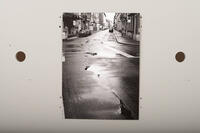 Buma update januar 261904 Buma Möbelklassiker Vintage-Klassiker und Designermöbel Möbel Olten Zürich Schweiz