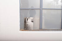 Buma update januar 261919 Buma Möbelklassiker Vintage-Klassiker und Designermöbel Möbel Olten Zürich Schweiz