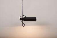 Buma update maerz 262476 Buma Möbelklassiker Vintage-Klassiker und Designermöbel Möbel Olten Zürich Schweiz