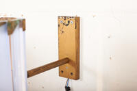 Bumadesign Update Juni 20196885 Buma Möbelklassiker Vintage-Klassiker und Designermöbel Möbel Olten Zürich Schweiz