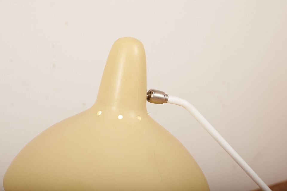 Bumadesign update september 202015250 Buma Möbelklassiker Vintage-Klassiker und Designermöbel Möbel Olten Zürich Schweiz